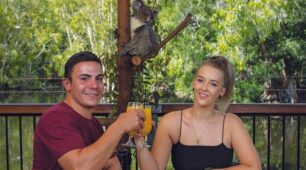 Hartley’s Koala Breakfast with Cairns and Northern Beaches Transfers Hartley’s Koala Breakfast with Cairns and Northern Beaches Transfers