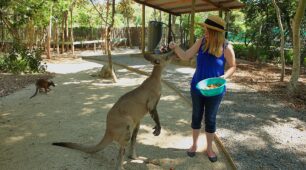 Zootastic 5 with Cairns CBD & Northern Beaches transfers Zootastic 5 with Cairns CBD & Northern Beaches transfers