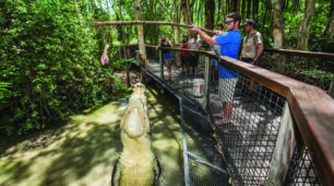 Big Croc Feed Big Croc Feed