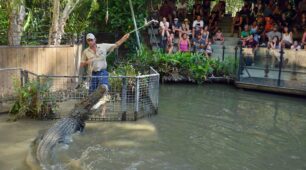 Hartley’s with Palm Cove Transfers