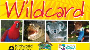 Mega Wildcard (HCA)